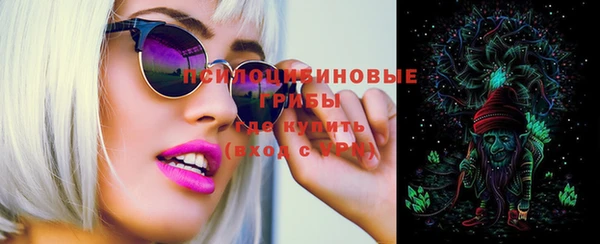 гашик Ладушкин