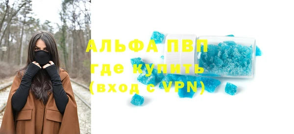 гашик Ладушкин