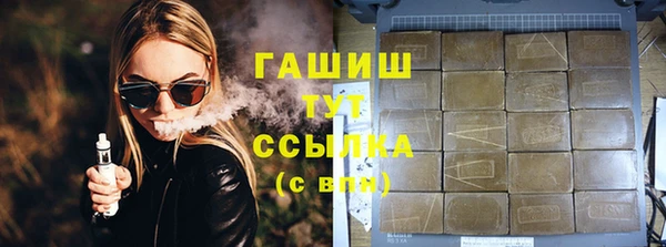 гашик Ладушкин